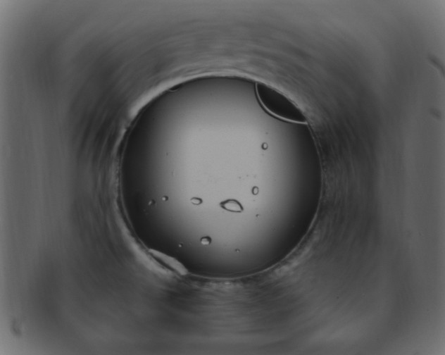 X0000091731526200709071448