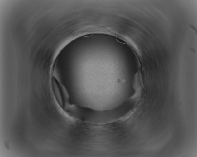 X0000091731528200709071448