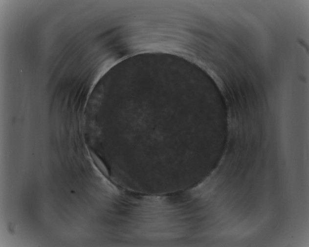 X0000091731529200709071448