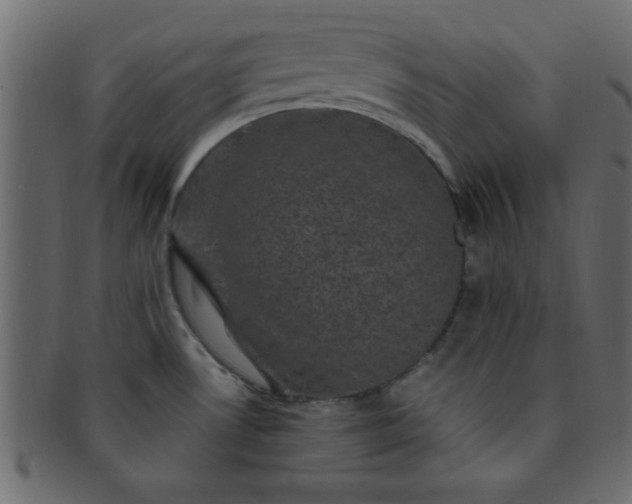 X0000091731530200709071448