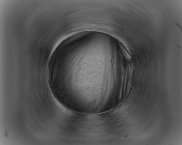 X0000091731531200709071448