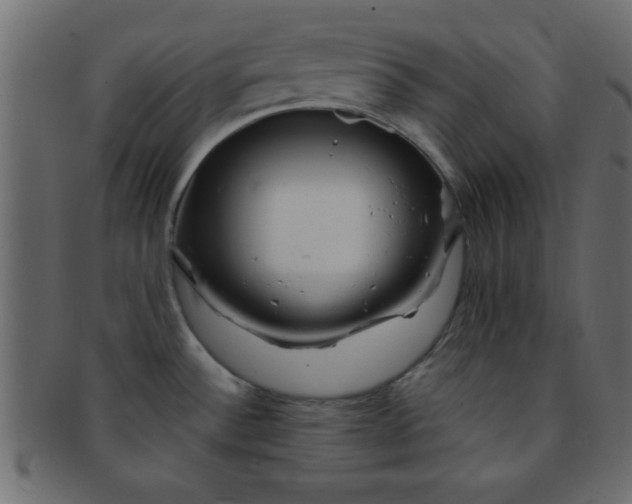 X0000091731532200709071448