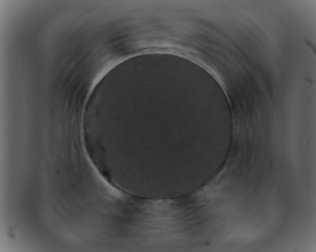 X0000091731533200709071448