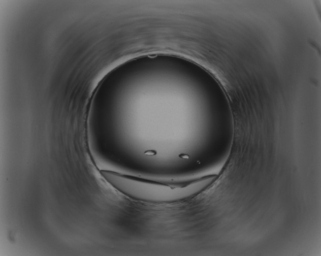 X0000091731534200709071448