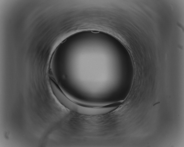 X0000091731536200709071448