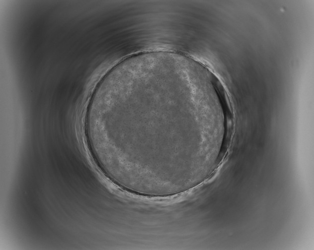 X0000091730001200709141235