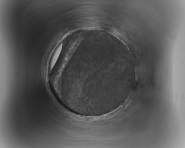 X0000091730002200709141235