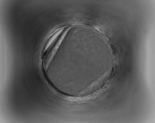 X0000091730005200709141235