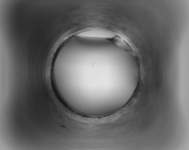 X0000091730007200709141235