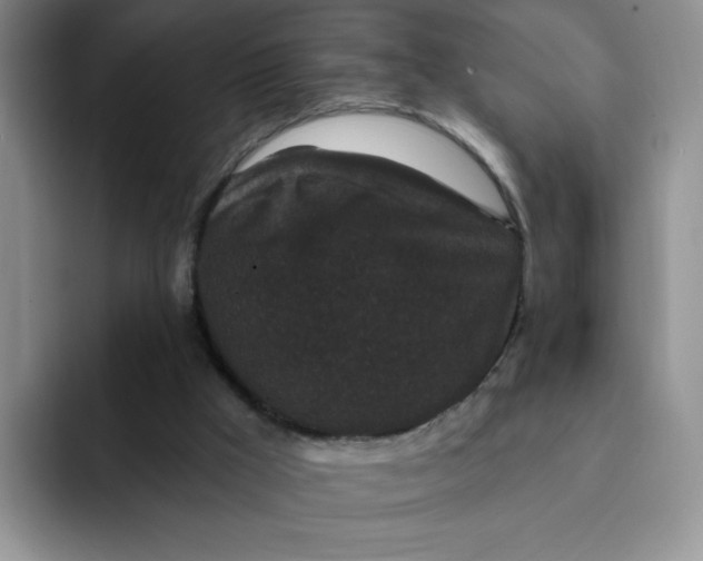 X0000091730009200709141235