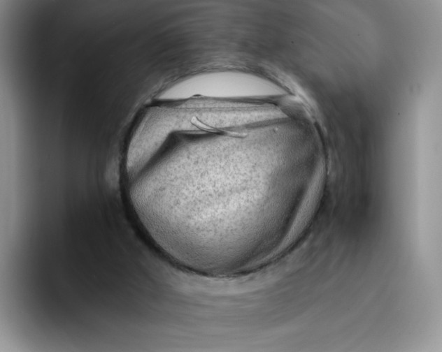 X0000091730010200709141235