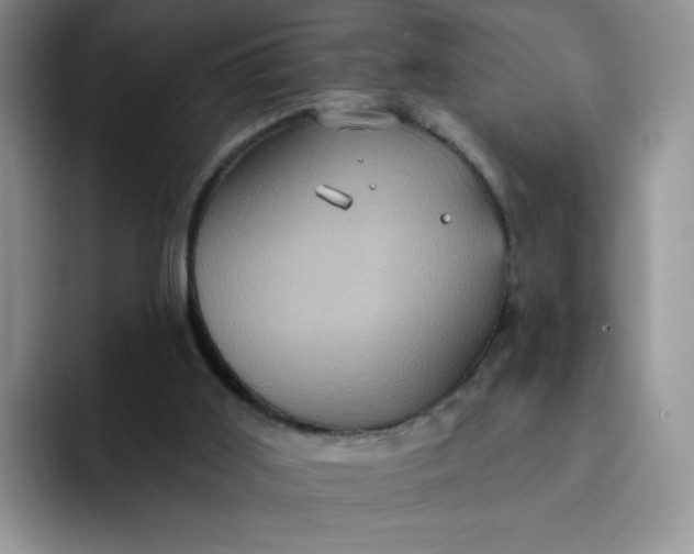 X0000091730011200709141235