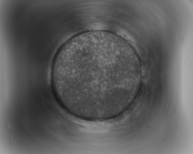 X0000091730012200709141235