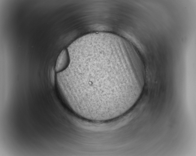 X0000091730014200709141235