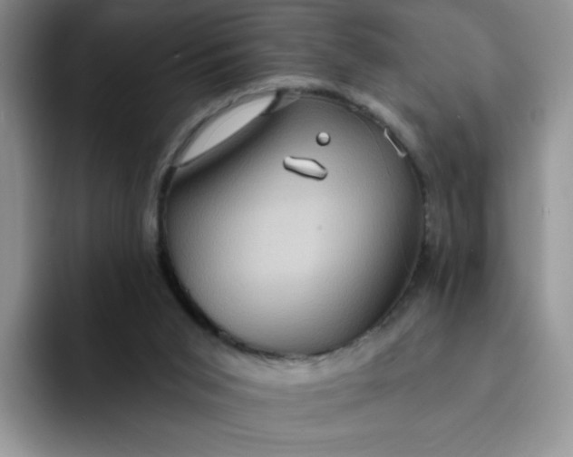 X0000091730015200709141235