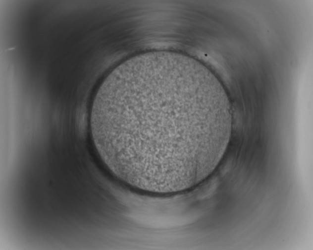 X0000091730016200709141235