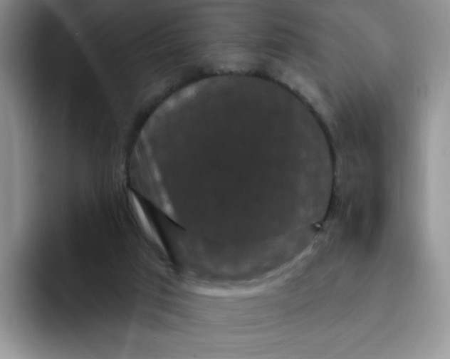 X0000091730017200709141235