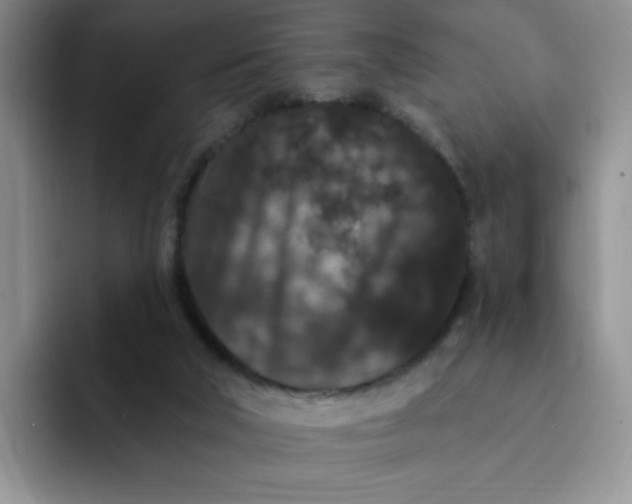 X0000091730018200709141235