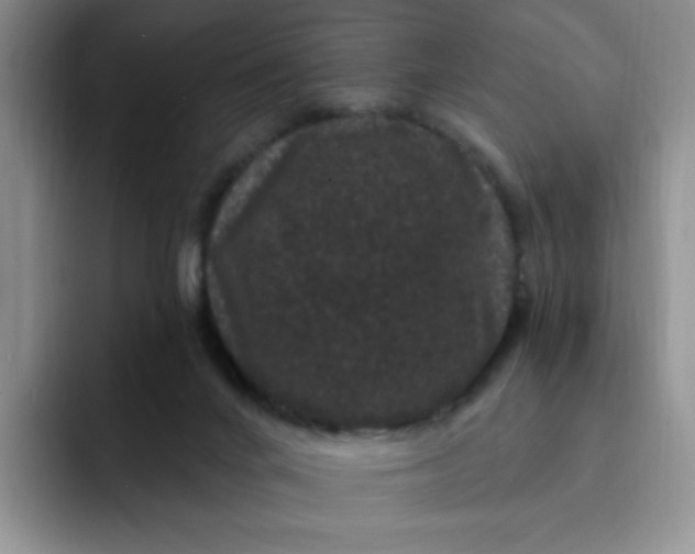 X0000091730024200709141235