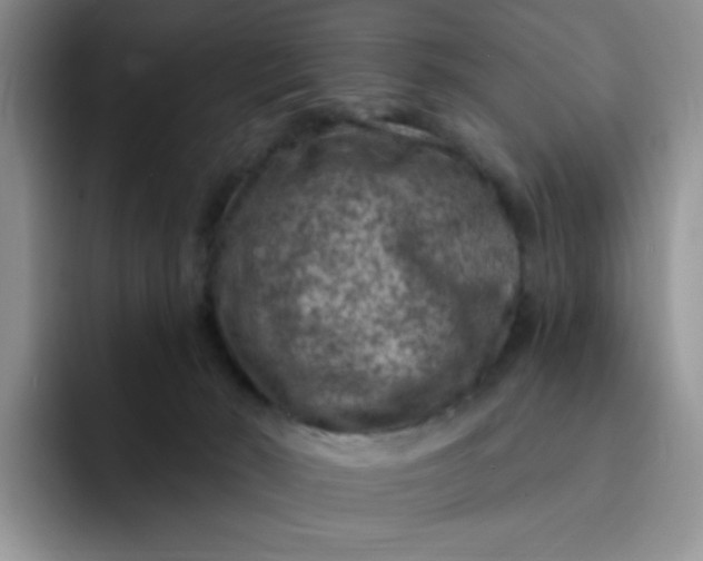 X0000091730030200709141235