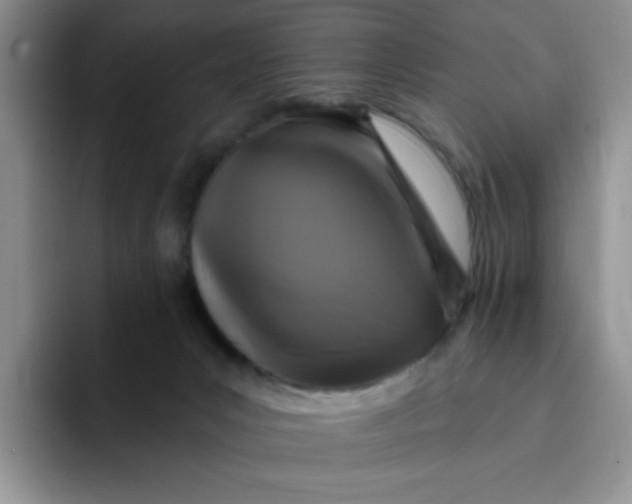 X0000091730031200709141235