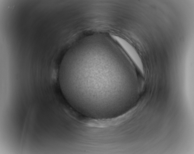 X0000091730033200709141235