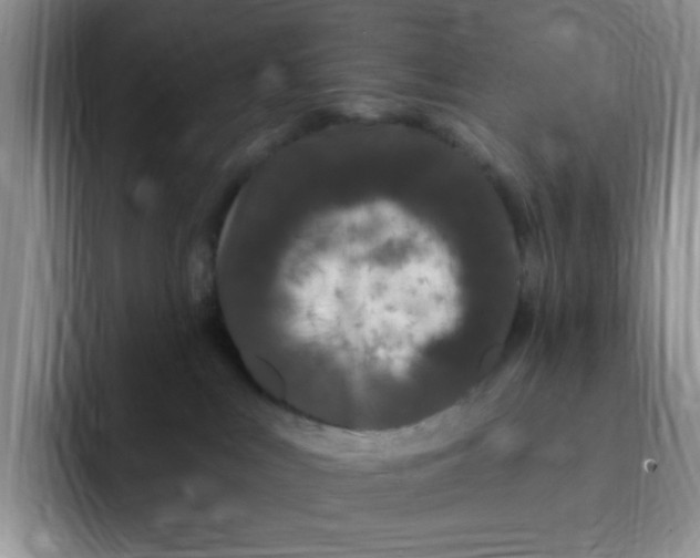 X0000091730043200709141235