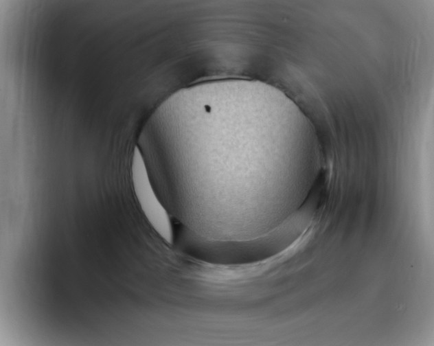 X0000091730045200709141235