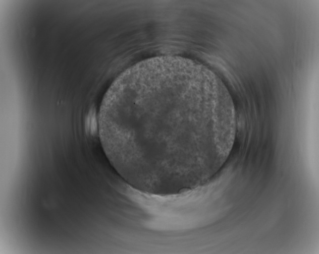 X0000091730046200709141235