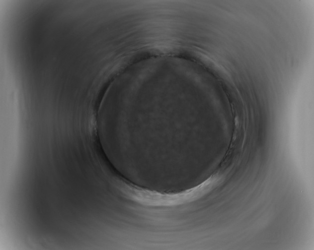 X0000091730048200709141235