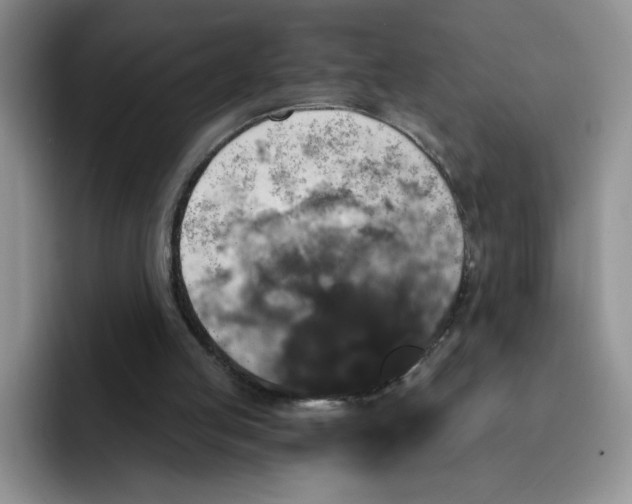 X0000091730053200709141234