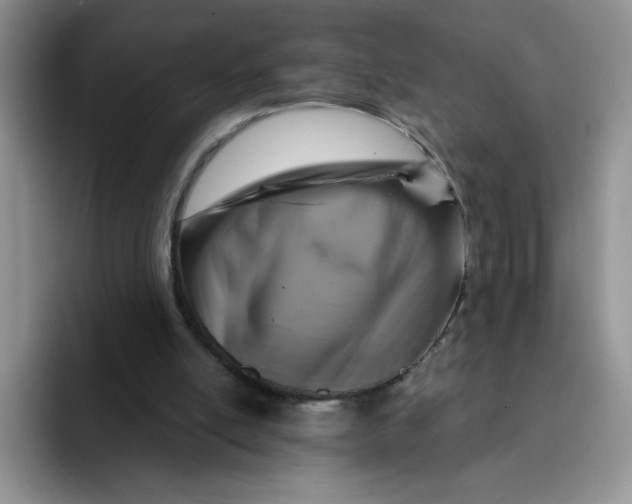 X0000091730054200709141234