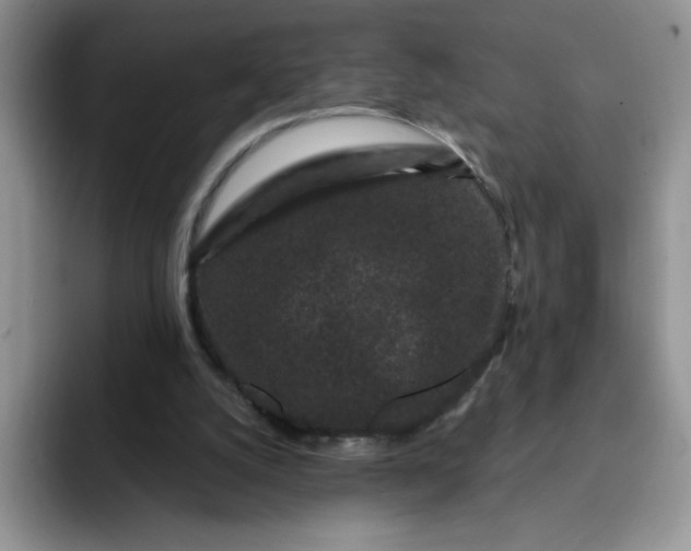 X0000091730056200709141234