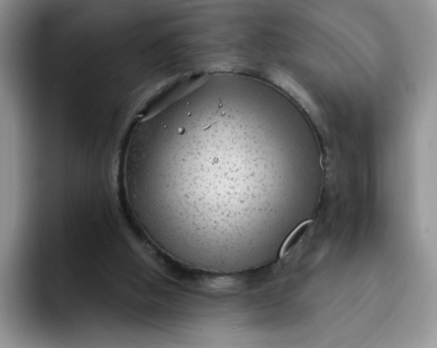 X0000091730058200709141234