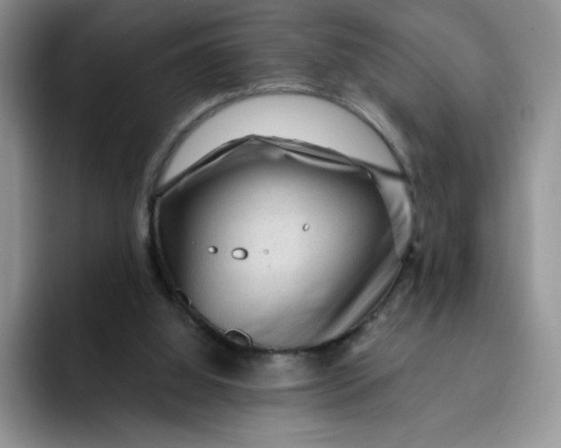 X0000091730060200709141234