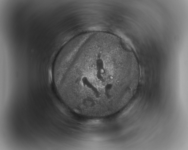 X0000091730061200709141234