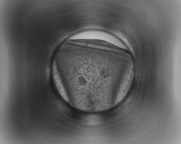 X0000091730063200709141234