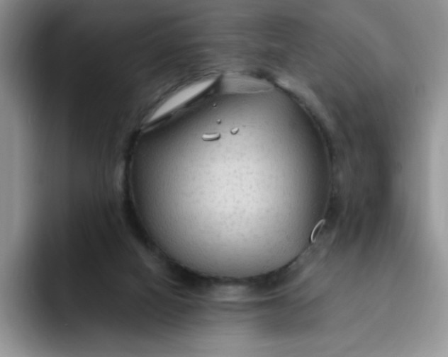 X0000091730066200709141234