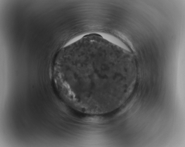 X0000091730069200709141234