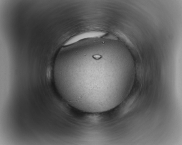 X0000091730071200709141234