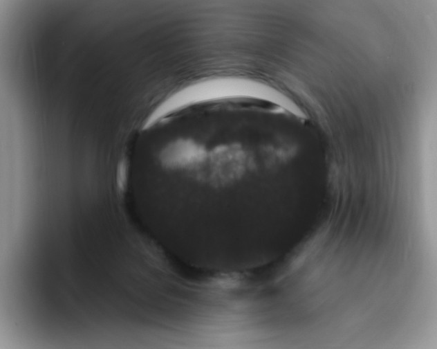 X0000091730076200709141234