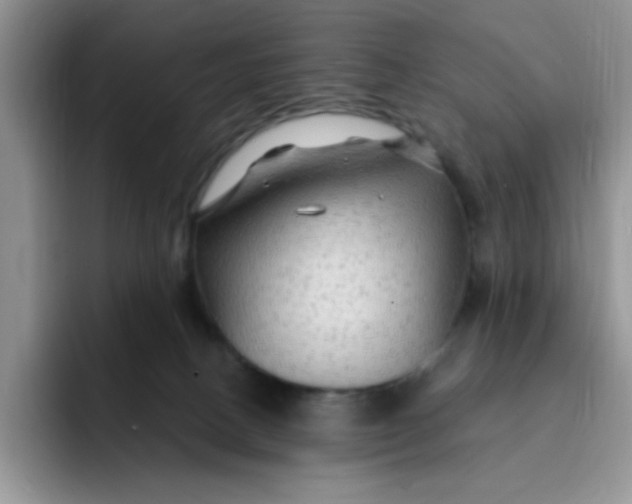 X0000091730082200709141234