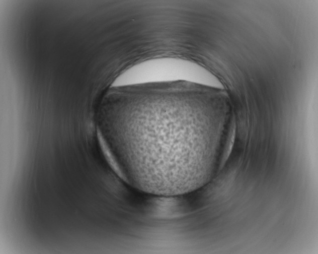 X0000091730085200709141234