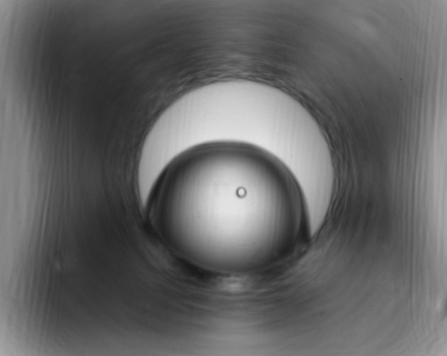 X0000091730088200709141234