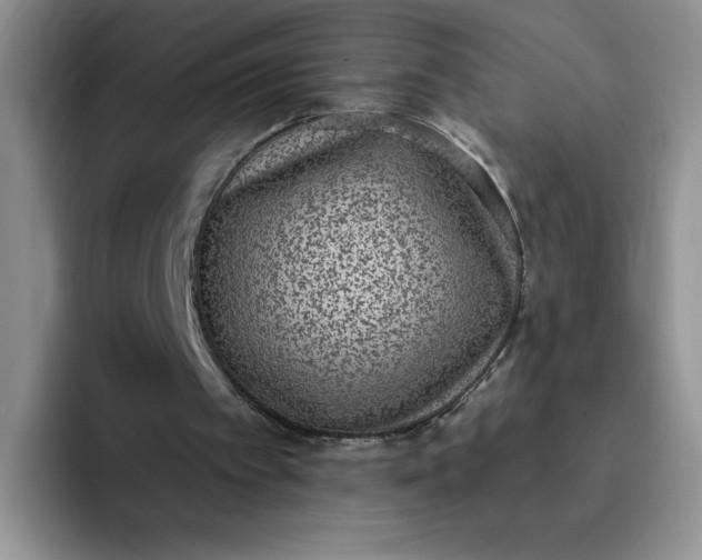 X0000091730097200709141234