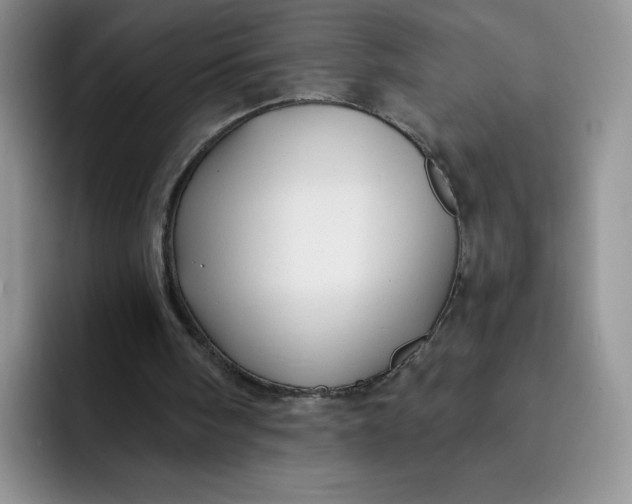 X0000091730098200709141234