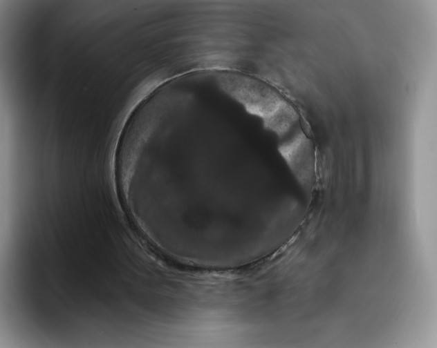 X0000091730099200709141234