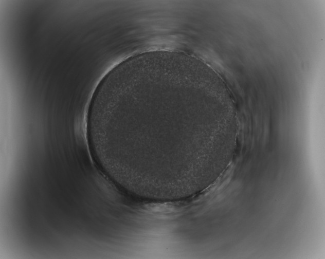 X0000091730100200709141234