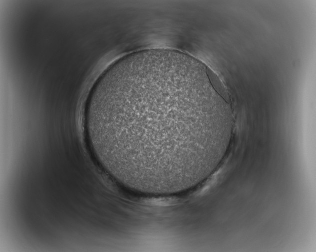 X0000091730103200709141234