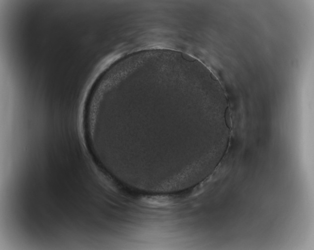 X0000091730104200709141234